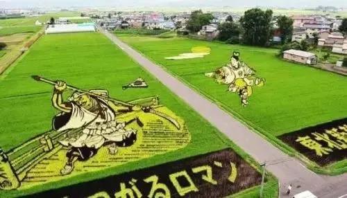 农资王手机软件